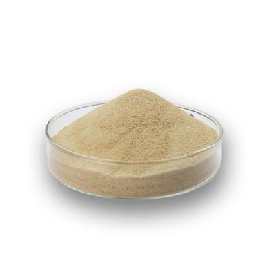 PS Powder Raw Materials Phosphatidylserine 20%